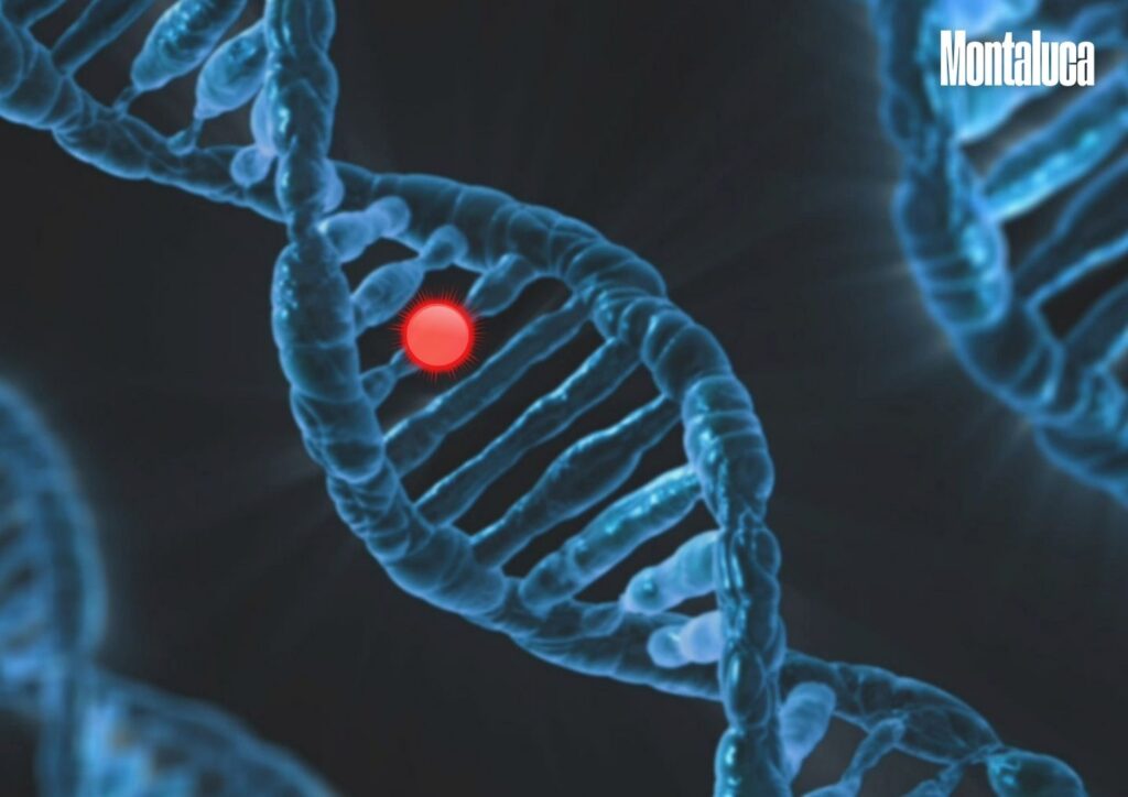 is-procrastination-genetic.jpg
